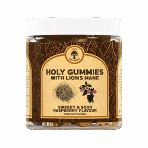 HOLY GUMMIES WITH LION’S MANE